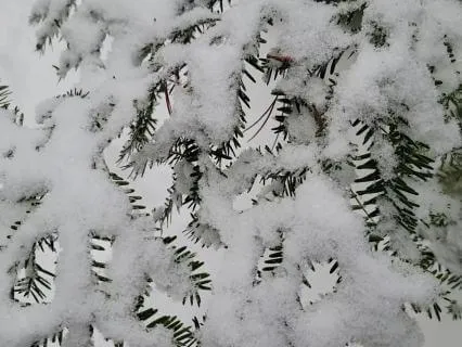 Short Mindfulness Meditation For Presence