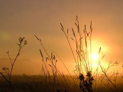 7-Minute Morning Confidence: Believe In Yourself