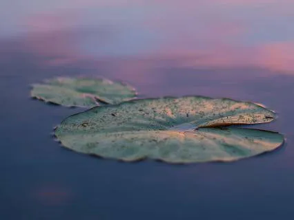 7-Minute Music For Meditation And Floating Visualization