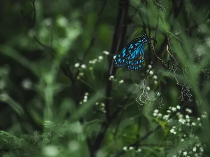 Nadi Shodhana (Alternate Nostril Breathing) For Balance