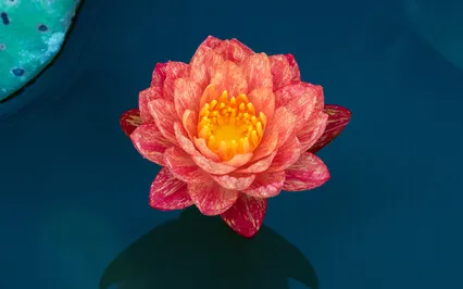 7-Minute Restorative Meditation