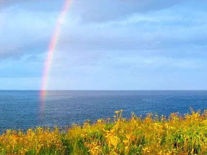 7-Minute Sound Meditation With Himilayan Singing Bowls