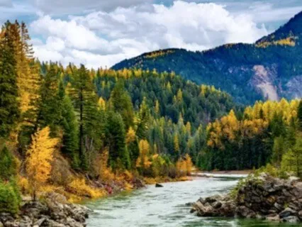 Short Breath & Visualization Practice For Quiet Moments