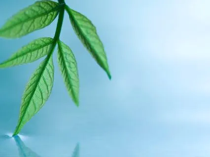 7 Minutes To Calm - Mid-Day Break De-Stress Meditation