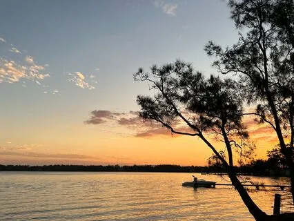 7 Minutes To Unwind: Breath & Body (Beginner Friendly)