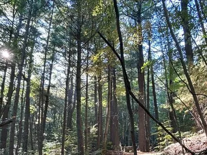 7 Minutes To Zen: Mindfulness Meditation For Relaxation