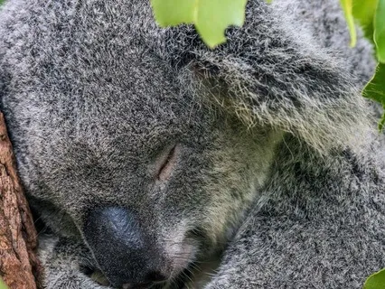 7. Night Whispers: A Lullaby For Your Heart