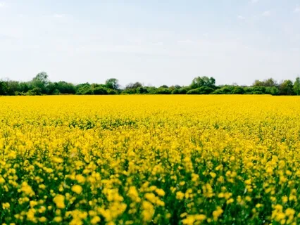 7 помех на пути к себе