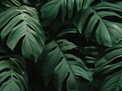 7 Reasons To Be Living In Your Purpose