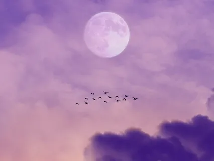 7 Simple Steps To Fall Asleep By Relaxing Your Brain 2