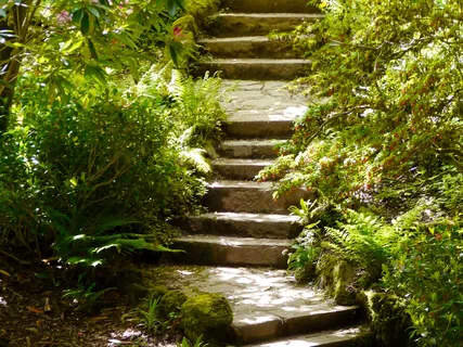 7 Stations Of The Spine