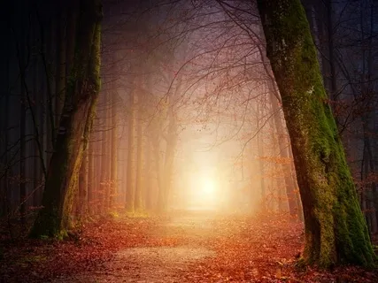 7 Steps To Connecting With Your Spirit Companions