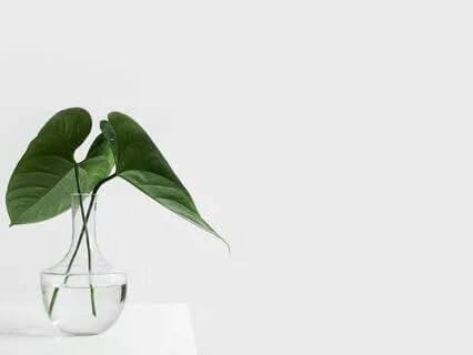 7 Steps To Releasing Work-Related Stress