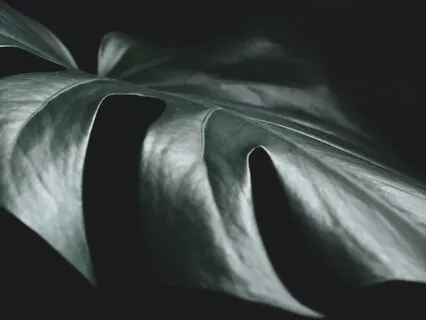 7 Tips For Better Quality Sleep | Podcast