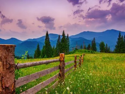 7 Tuning Fork Stack For Deepest Healing (Alpha)