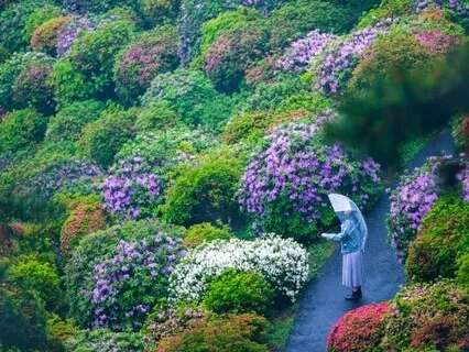 7. With Every Breath, I Return To Life