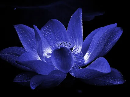 720Hz Third Eye Chakra Healing Music - Vol.2