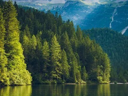 741 Hz Aura Cleanse & Spiritual Detox