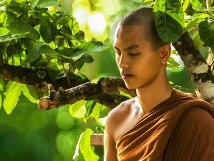 741 Hz - Cleanses Viral Infections (Throat Chakra)