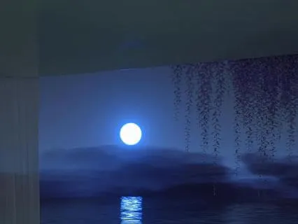 741 Hz | Deep Sleep & Nervous System Reset | 8 Hours