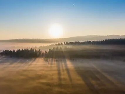 741 Hz: Release Stress & Clear Mental Fog