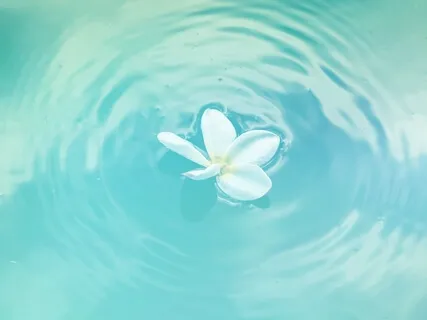 741Hz - Still Your Anger