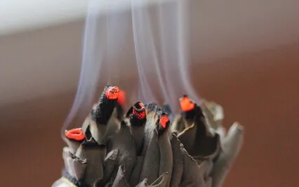 741 Hz With Light Language - For Toxins And Negativity 