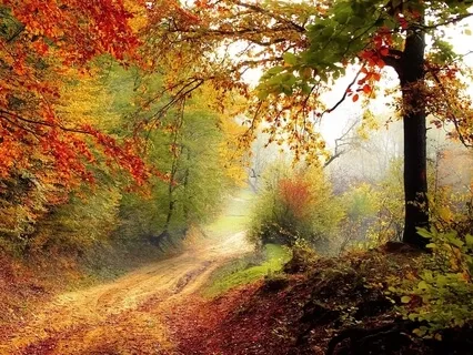 741Hz Abolish Antagonism