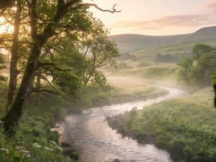 741Hz Binaural Beats - Deep Sleep Music For Detoxification