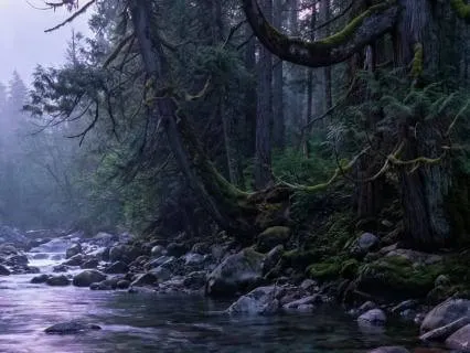 741Hz Healing Frequency - Detox & Cleanse | 8 Hours