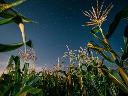 741Hz Open Up Emotionally And Learn To Let Go