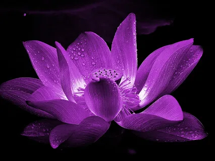 768Hz Crown Chakra Healing Music - Vol.2