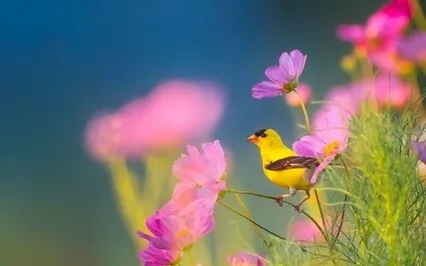 Guided Meditation To Release Negative Thoughts