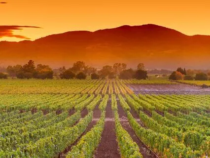 777 Hz + 888 Hz Tuning Forks to Attract Abundance (Alpha)