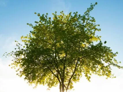 777 Hz Manifest Your Divine Purpose