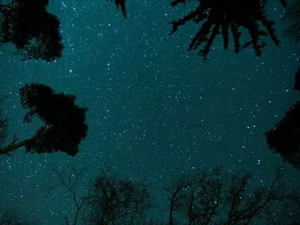 777 Miracle-Loving Wishes Granted As You Sleep