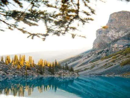 777Hz + 555 Hz For Positive Change