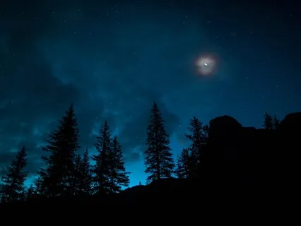 777Hz + 33Hz Get Reconnected And Raise Awareness