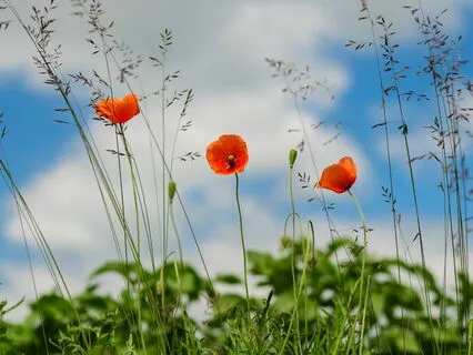 Daily Magic for Peace | #79 | Best Of | Your Body