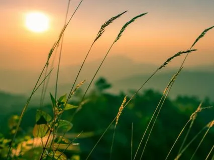 Guided Mindfulness Meditation For Anxiety