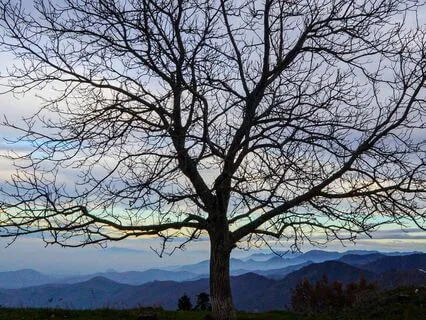 793 Hz Sleep Soothing Rain And Flute Journey