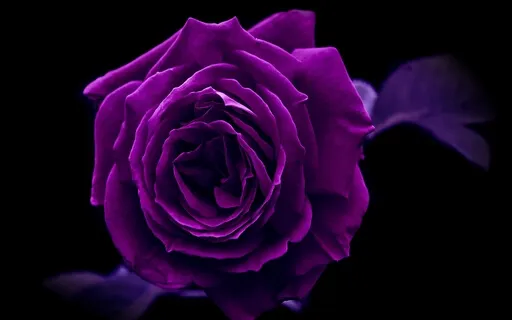 7th Chakra Meditation Sound (Deep Version)