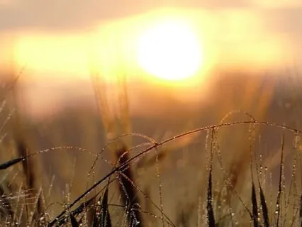 7th Step Prayer (Adapted)