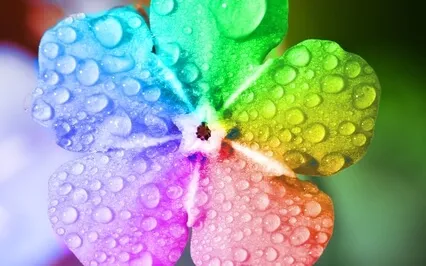 7つのチャクラのための瞑想用サウンド:各チャクラを活性化させるために