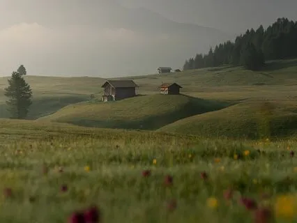 (8​-​12Hz) This Frequency Has Potential On Mental Health