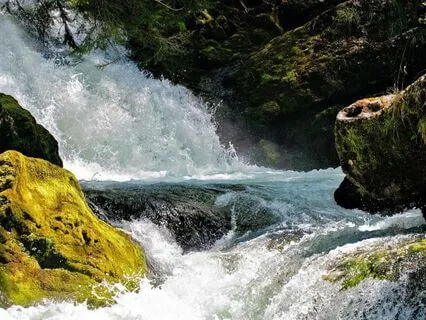 8/8 Lion's Gate - Re-Entering The Flow