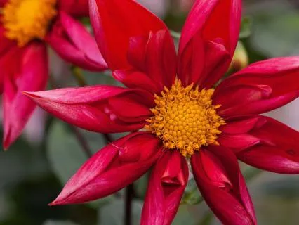 8 Direction Torus Breathing