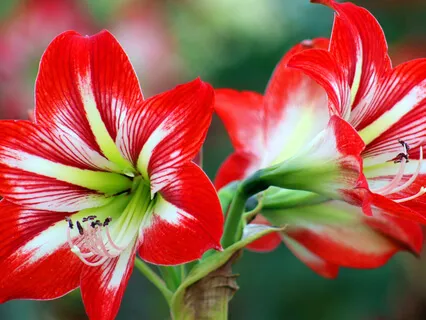 8 Factors Destroys Life, Meditation Regains It