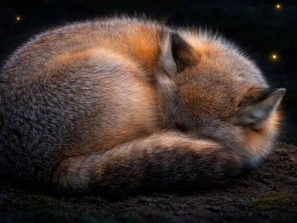 8-Hour 432Hz Deep Sleep Music