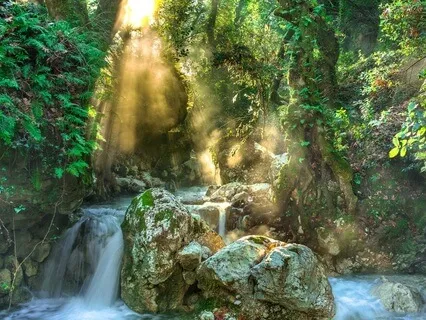 8 Hour Ambient Rainforest Stream